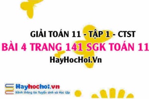 Giải bài 4 trang 141 Toán 11 tập 1 SGK Chân trời sáng tạo
